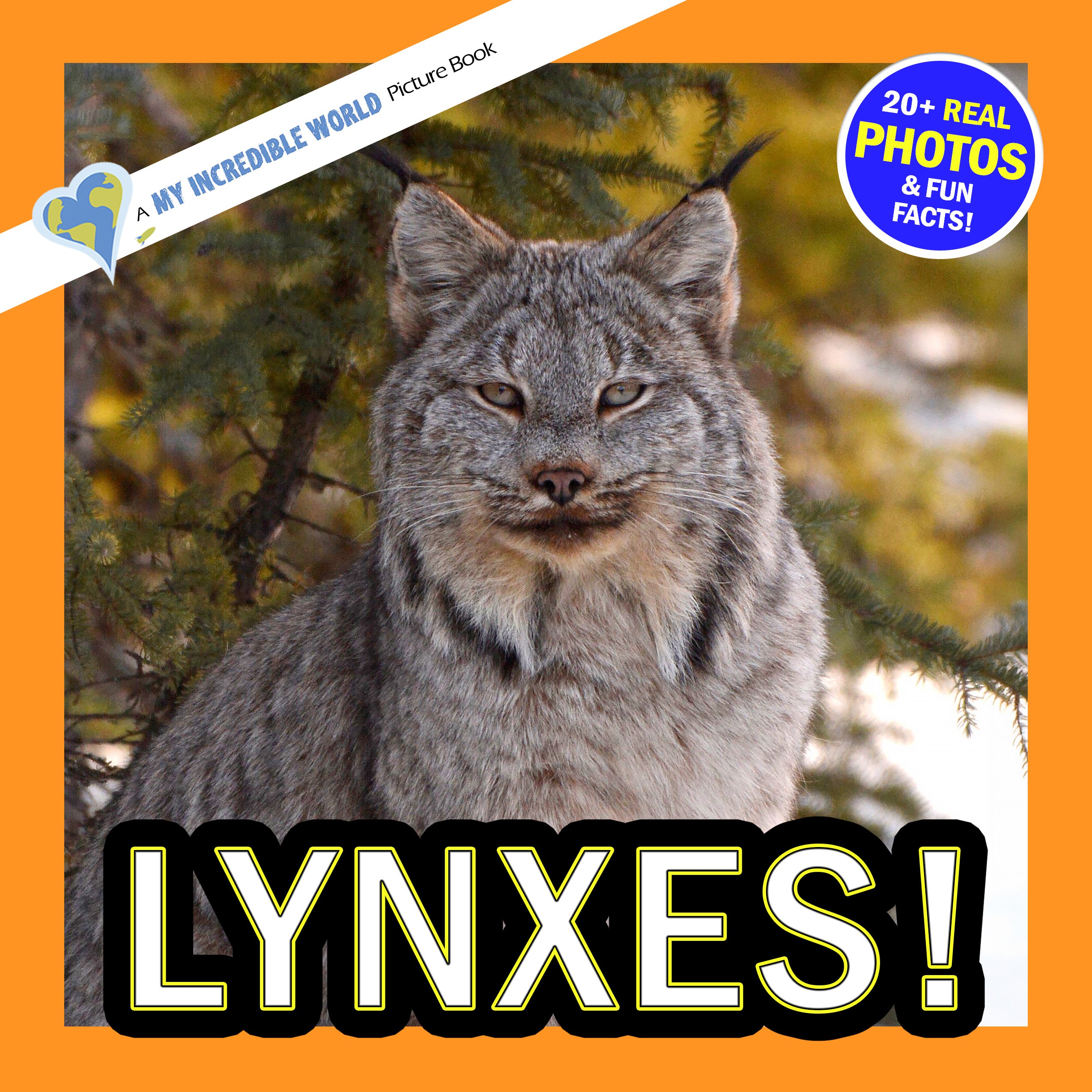 Lynxes! A My Incredible World Picture Book for Children